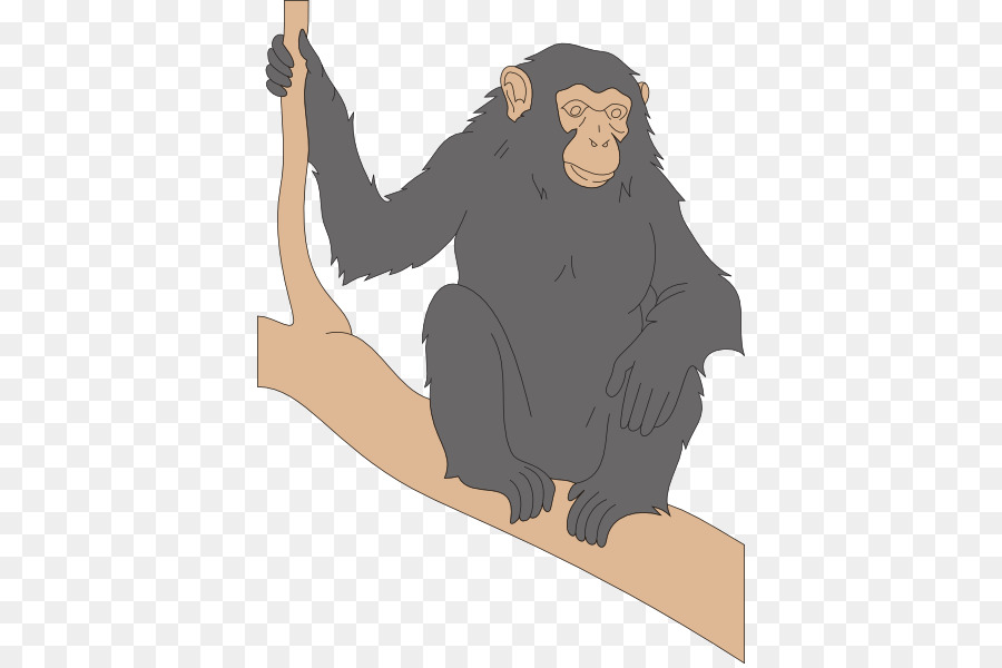الشمبانزي，الرئيسيات PNG