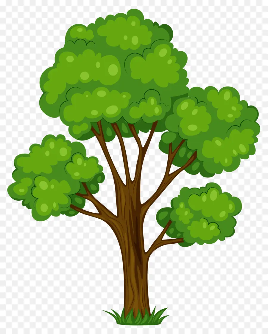 شجرة，مدونة PNG