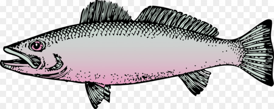 الأسماك，المحتوى المجاني PNG