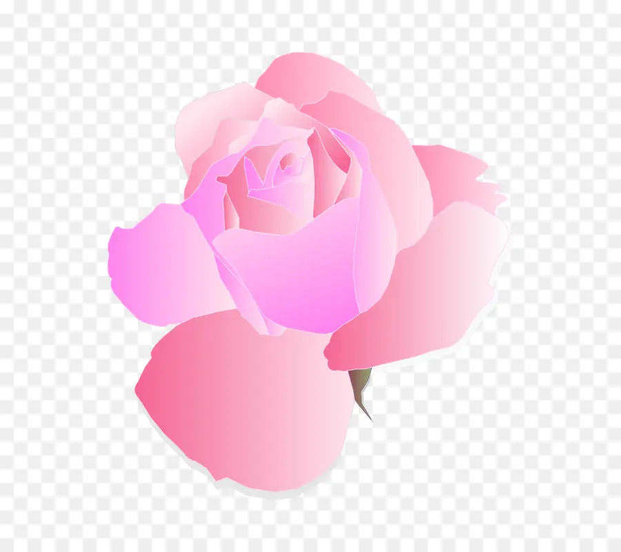 ارتفع，الزهور الوردية PNG