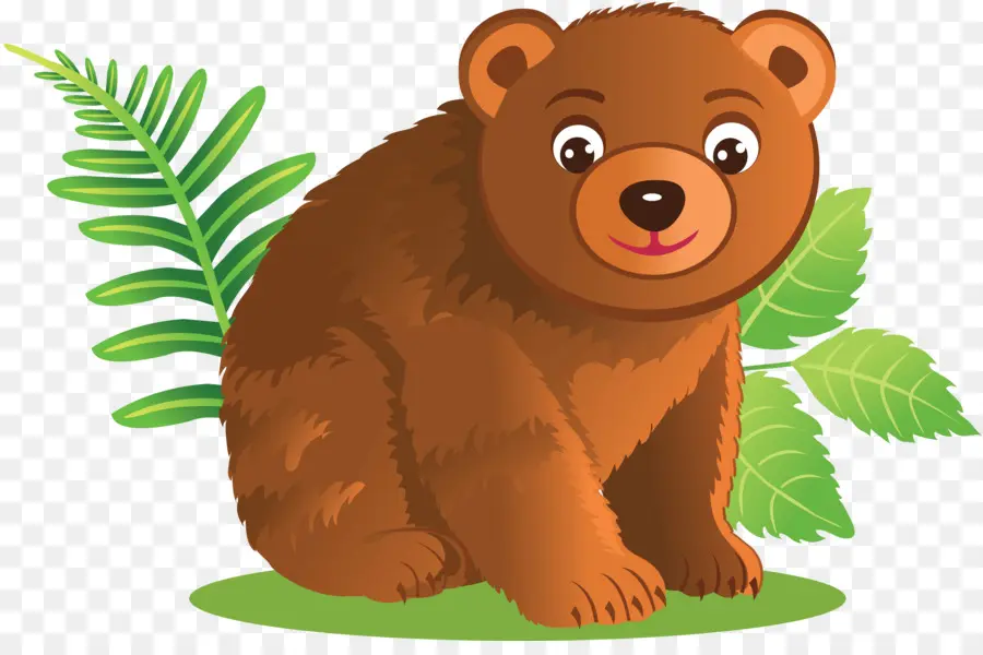الدب القطبي，الدب البني PNG
