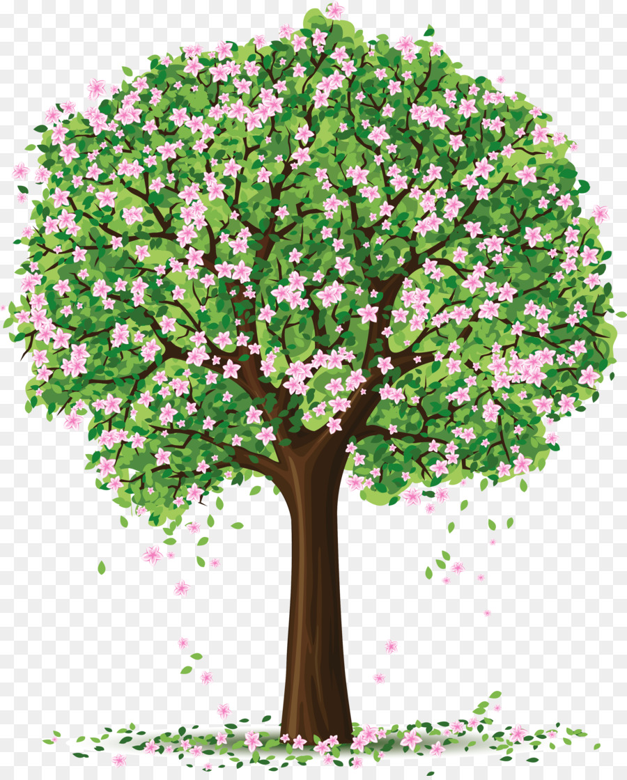 شجرة الربيع Royaltyfree صورة بابوا نيو غينيا