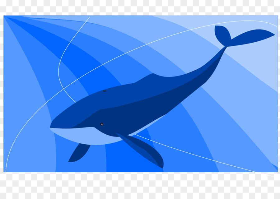 Balaenidae，الحوت الأزرق PNG
