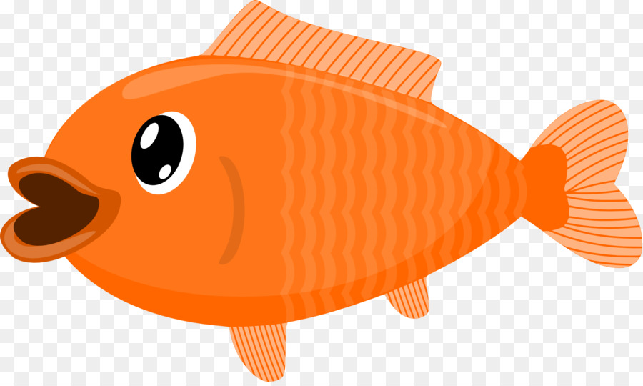 الأسماك，الأسماك العظمية PNG