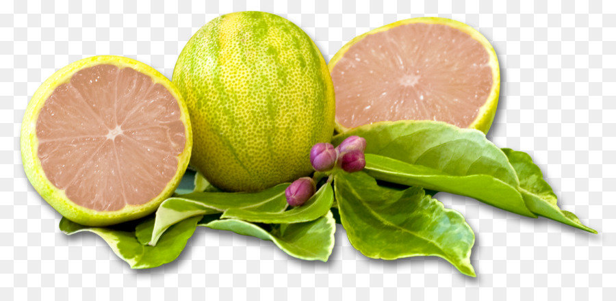 سانتا بولا，الليمون الوردي المتنوع PNG