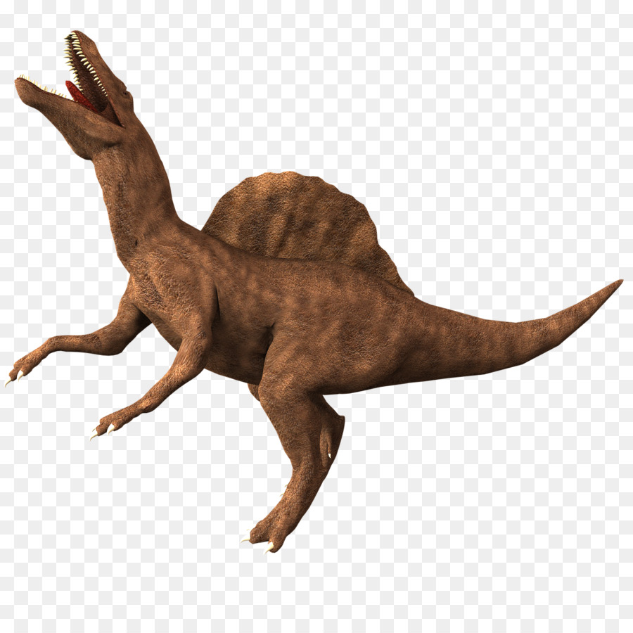 سبينوصور，الديناصورات PNG