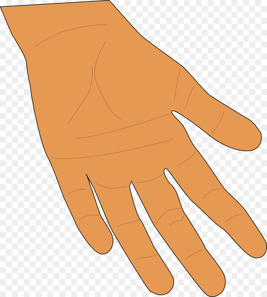 اليد，جلد الإنسان PNG