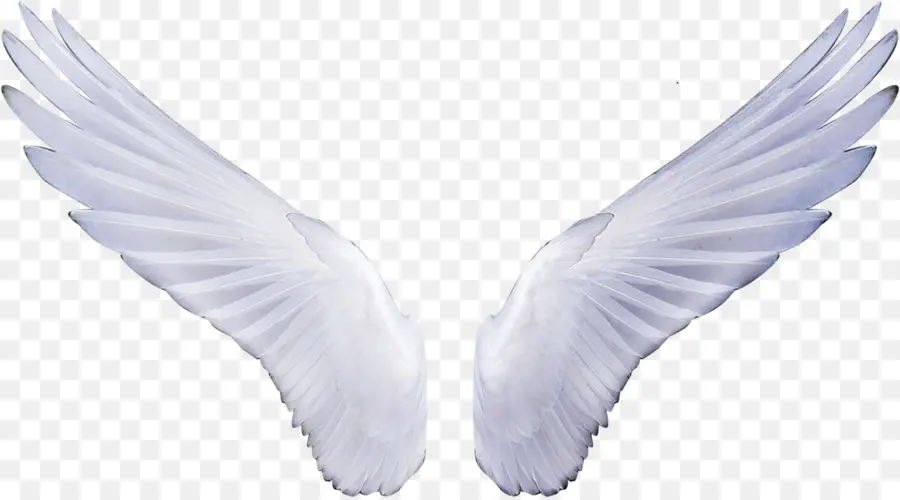 ملاك，ملصقا PNG