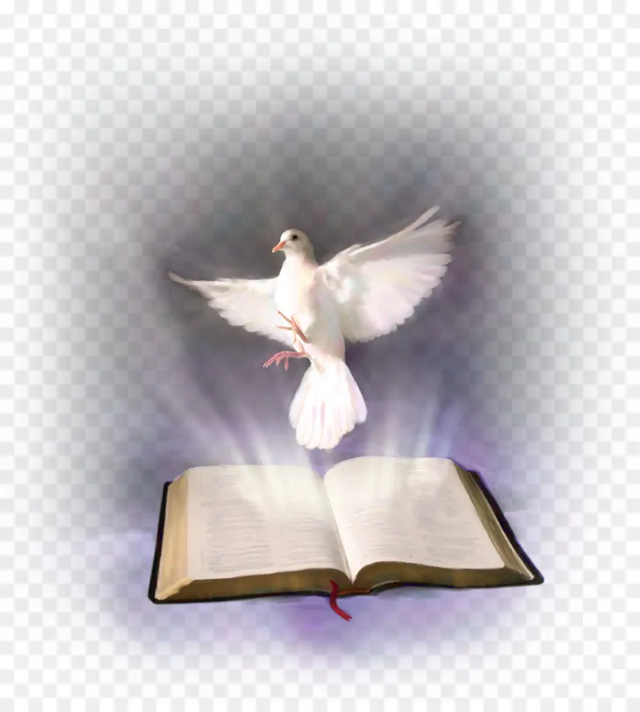 الكتاب المقدس，الروح القدس PNG