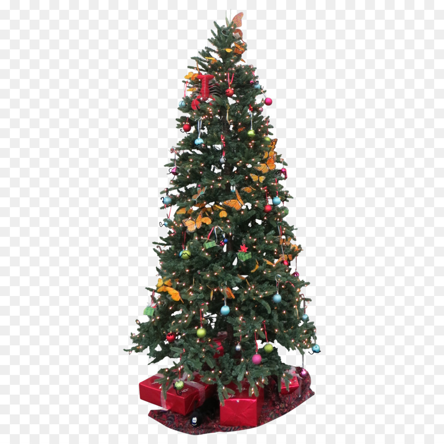 النرويج شجرة التنوب，شجرة عيد الميلاد PNG