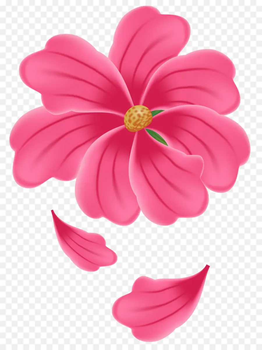 زهرة，الوردي PNG