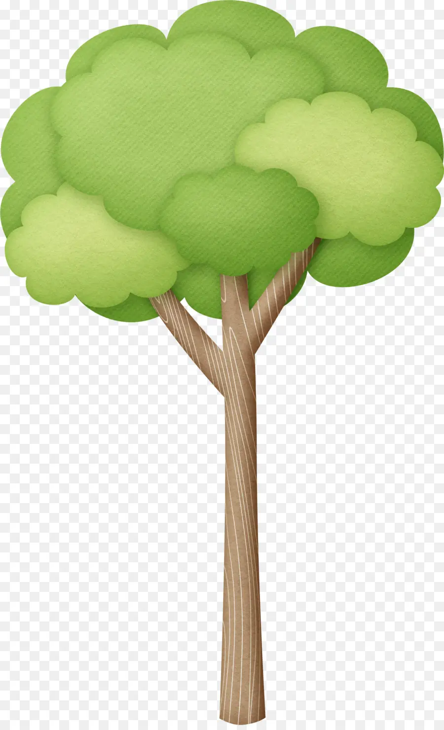 البرازيل，شجرة PNG
