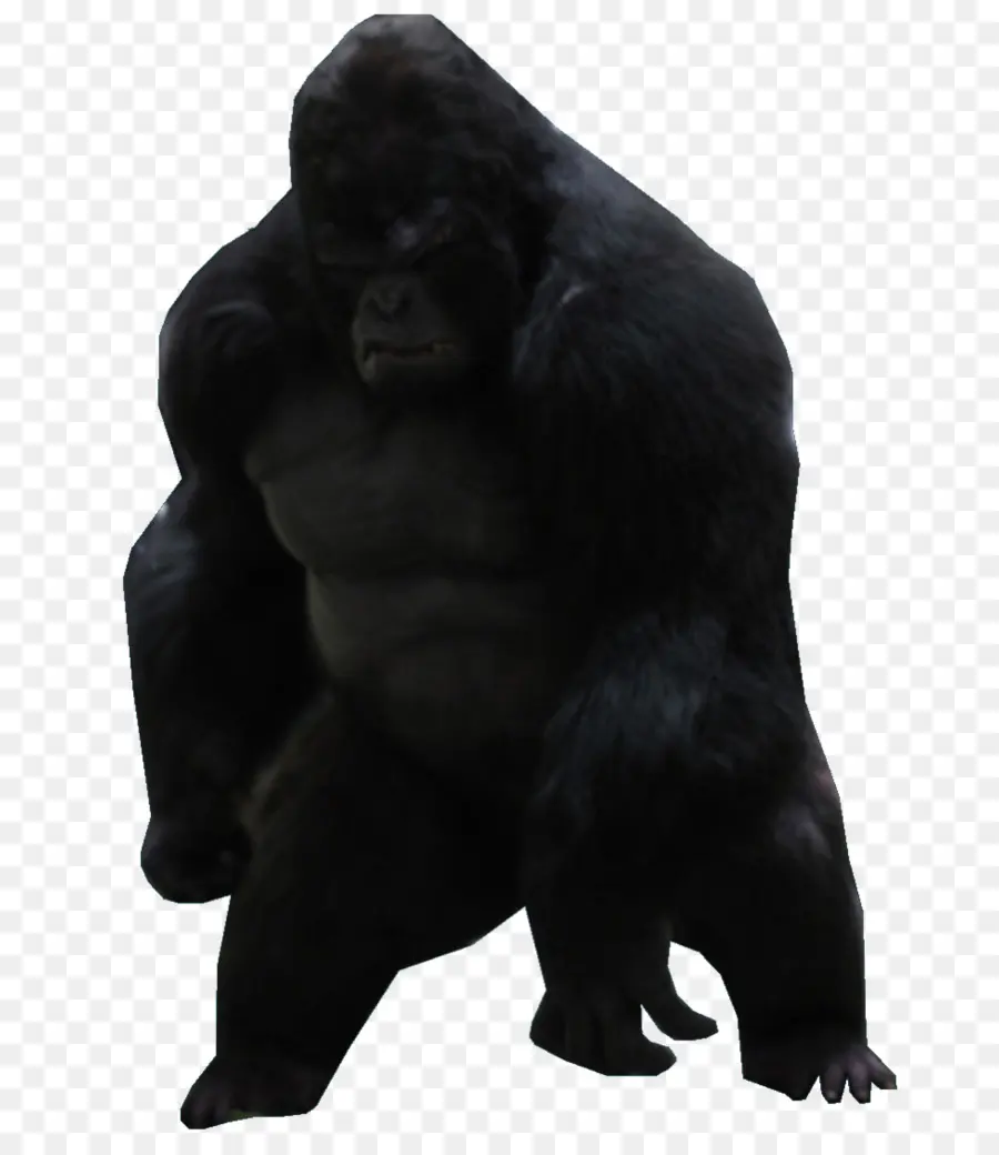 الغوريلا Grodd，فلاش PNG