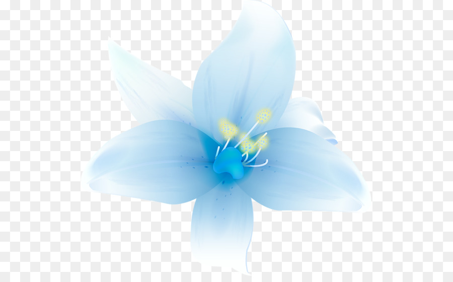 زهرة，Lilium PNG