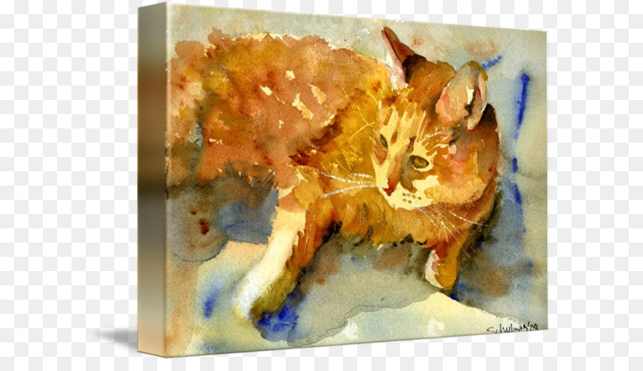 القط，الرسم بالألوان المائية PNG