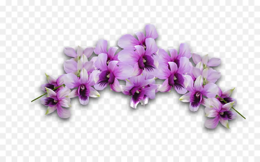 اكليلا من الزهور，زهرة PNG