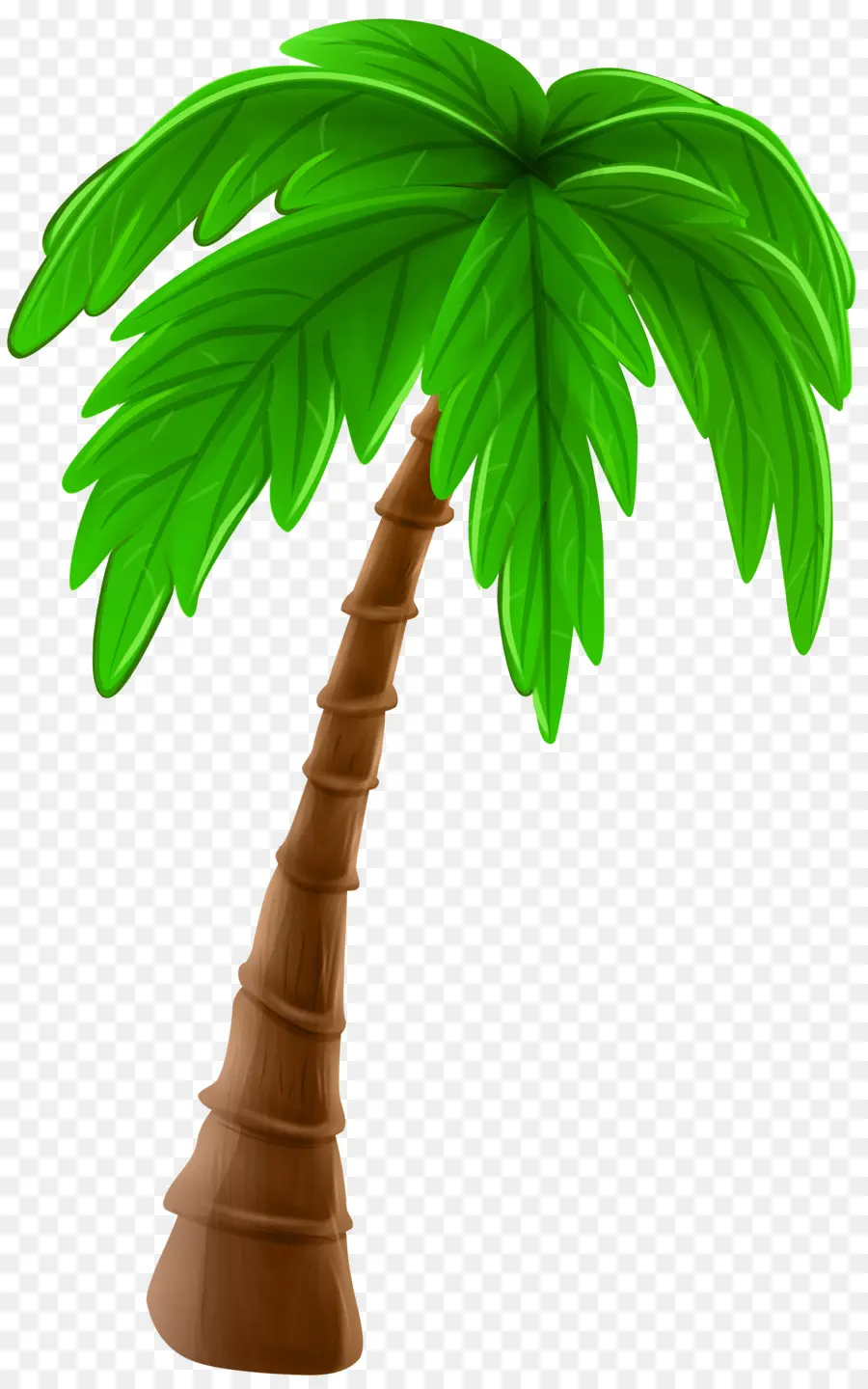 شجرة，Arecaceae PNG