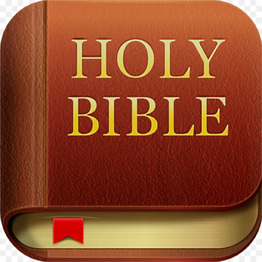 Lifechurch，الكتاب المقدس PNG