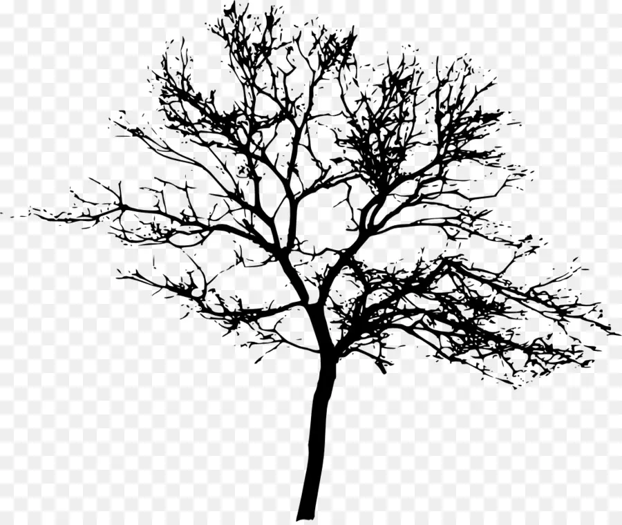 شجرة，عرض القرار PNG
