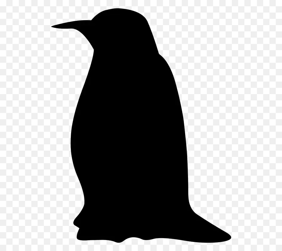 البطريق，صورة ظلية ، PNG