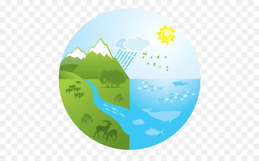 النظام البيئي，شعار PNG
