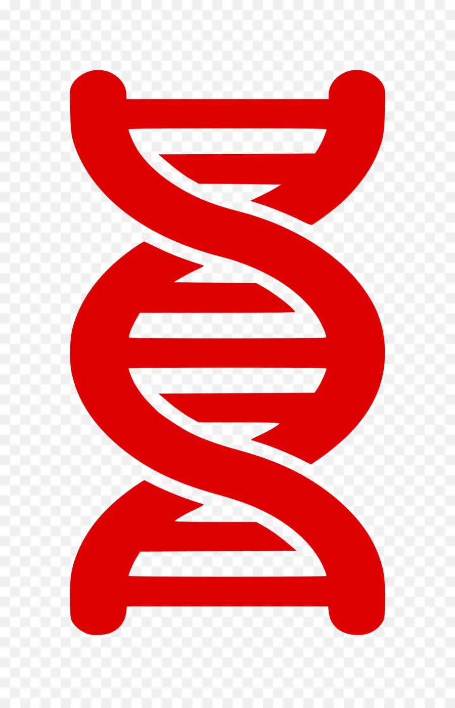 الحمض النووي，الحمض النووي الحلزوني المزدوج PNG