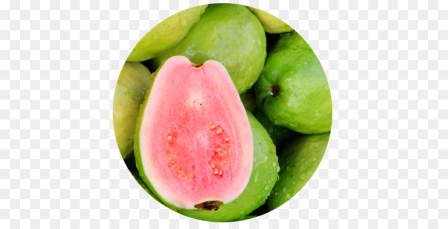 الهند，الجوافة PNG