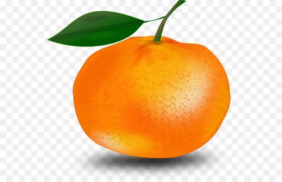 اليوسفي，البرتقال PNG