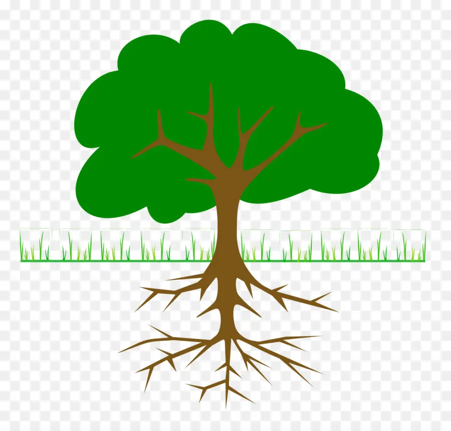 رائعة شجرة الكابوك，شجرة PNG