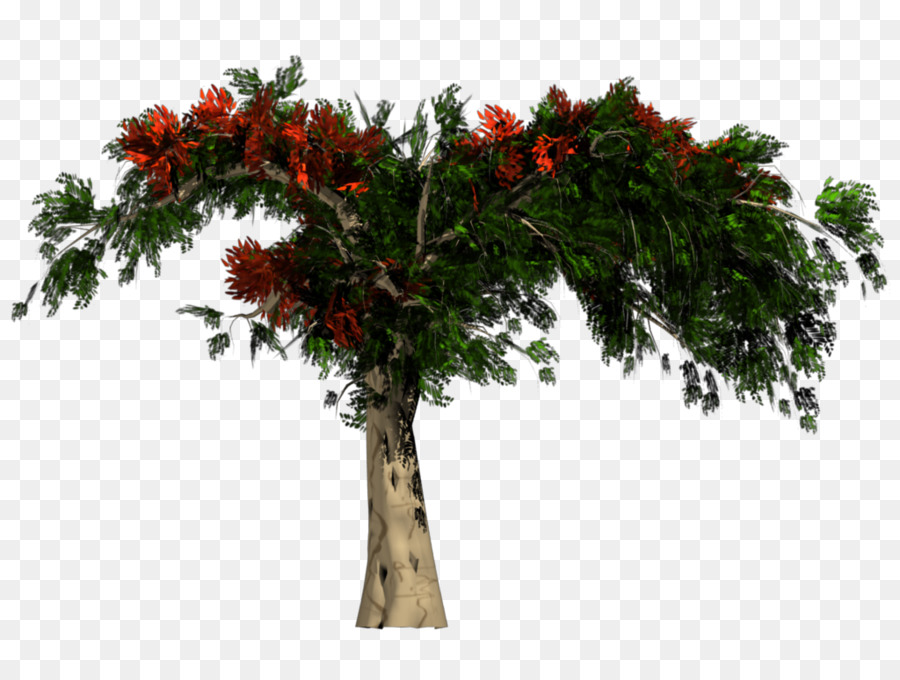 شجرة，التقديم PNG