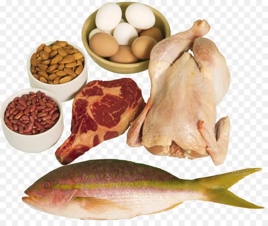 البروتين，الغذاء PNG