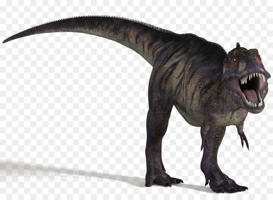 الديناصور，Majungasaurus PNG