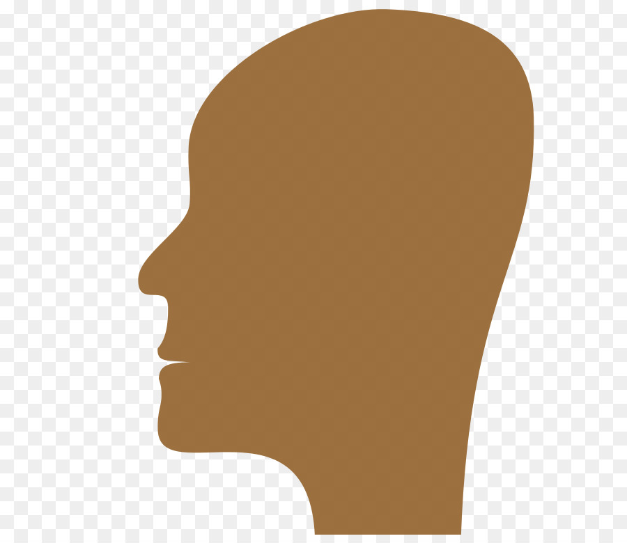 الوجه，رأس الإنسان PNG