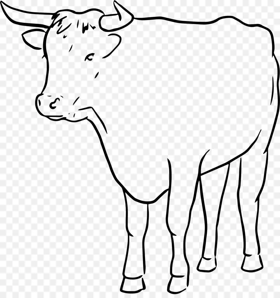 الماشية，الثور PNG