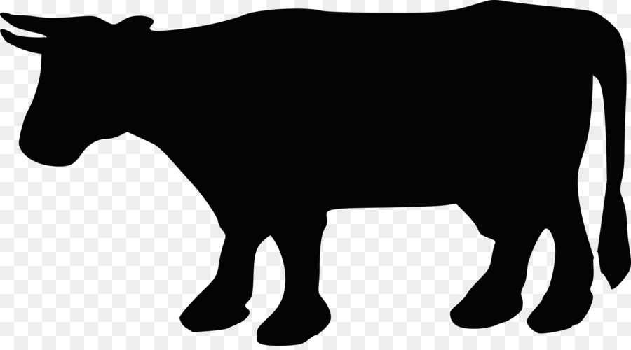 انغس，الأبقار PNG