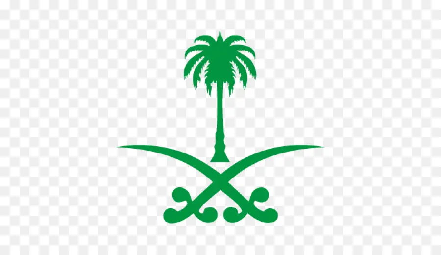 المملكة العربية السعودية，السعودية 2030 PNG
