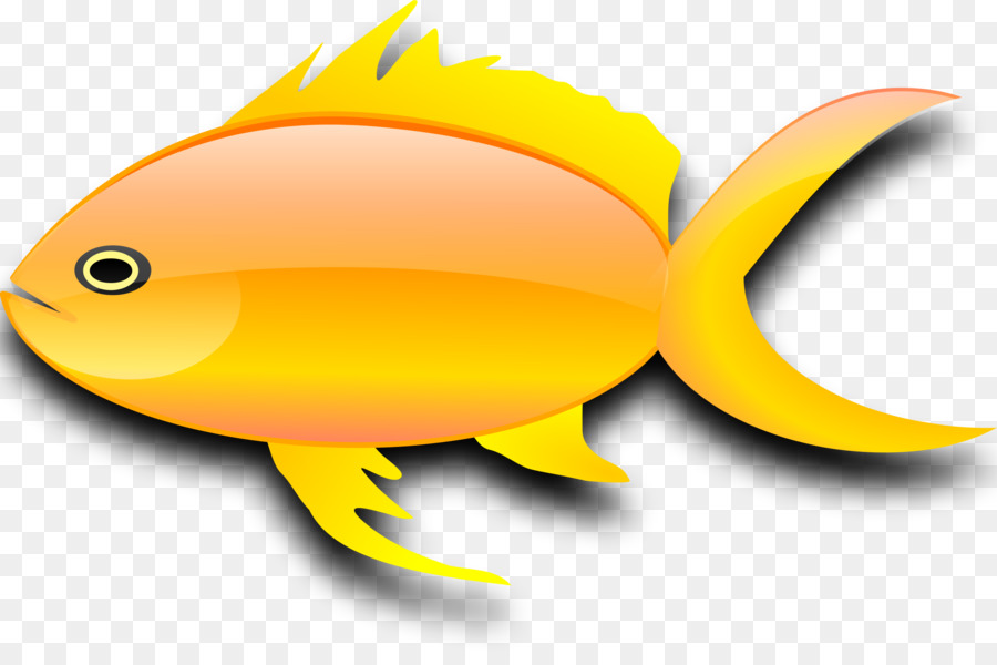 سمكة ذهبية，سمكة PNG