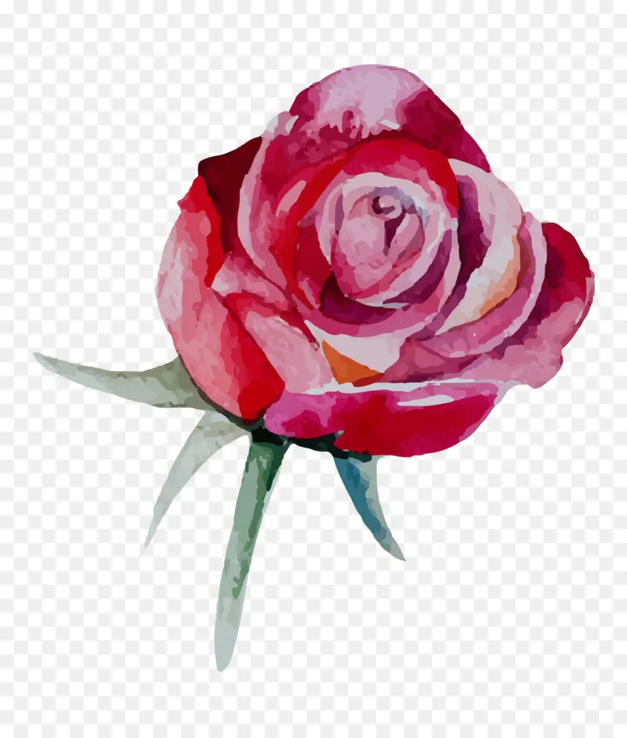 بورتلاند，الورود تذكر PNG