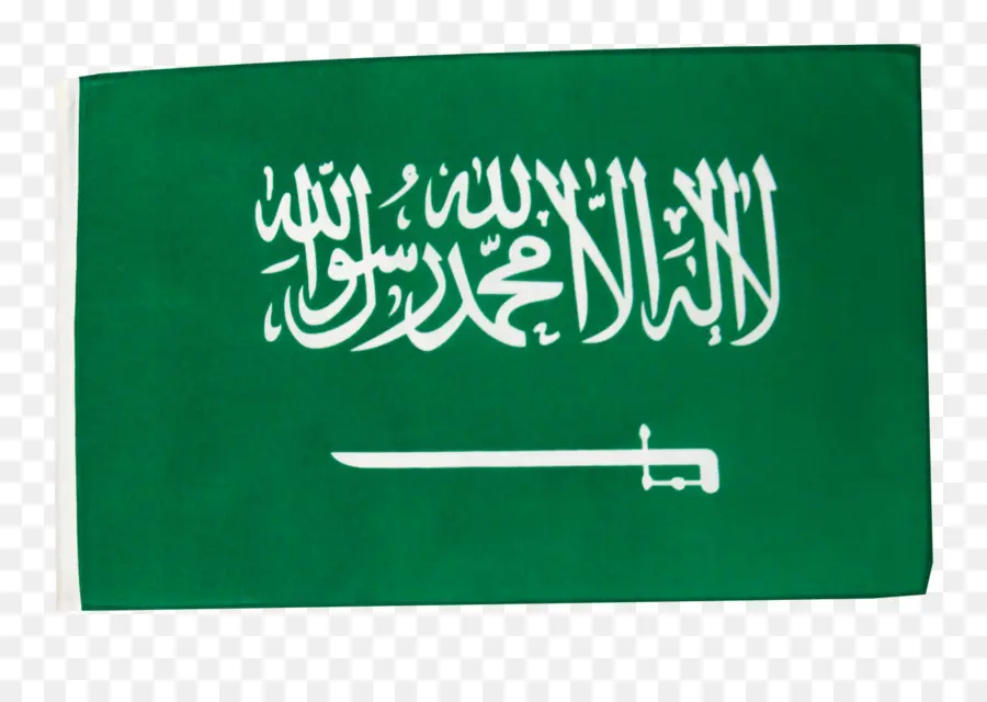 المملكة العربية السعودية，تقنية Dvcom PNG