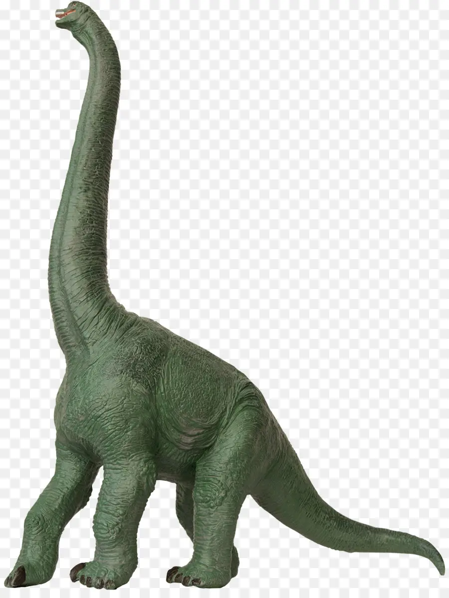 ديناصور الملك，Brachiosaurus PNG