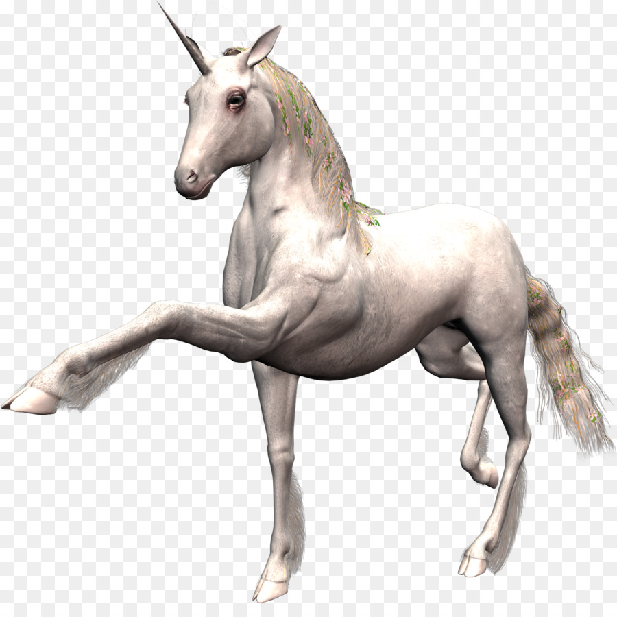 الحصان，يونيكورن PNG