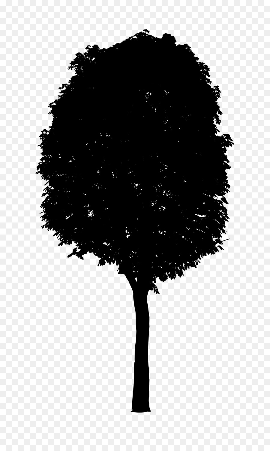شجرة，اسود و ابيض PNG