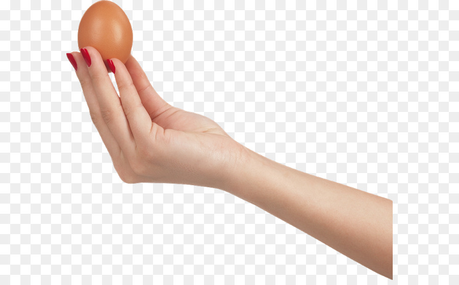 بيض مقلي，بيضة PNG