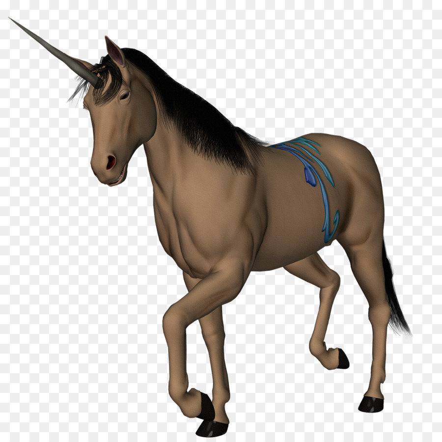 الحصان，يونيكورن PNG