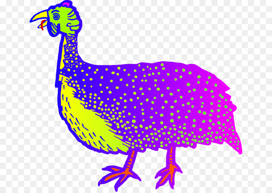 الطيور，Guineafowl PNG