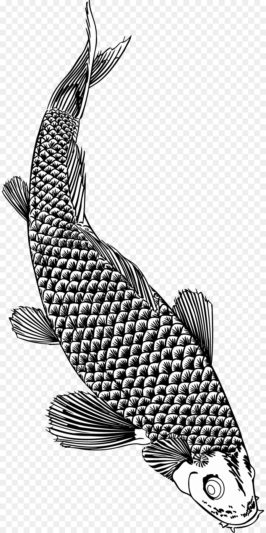 الأسماك，فرشاة PNG