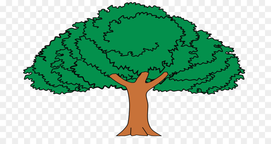 شجرة Enterolobium Cyclocarpum الاستوائية و شبه الاستوائية الجافة الغابات ذات الأوراق العريضة صورة بابوا نيو غينيا