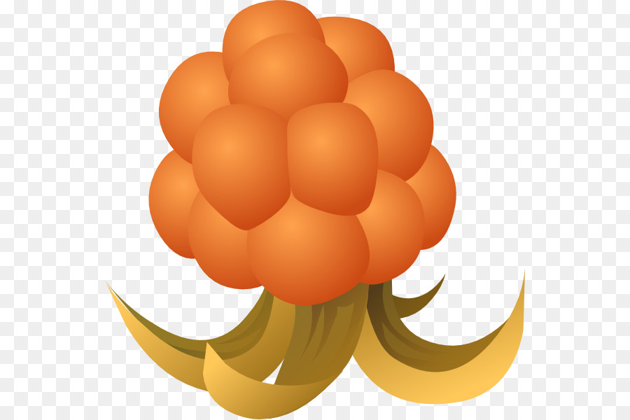 Cloudberry，الرسم PNG