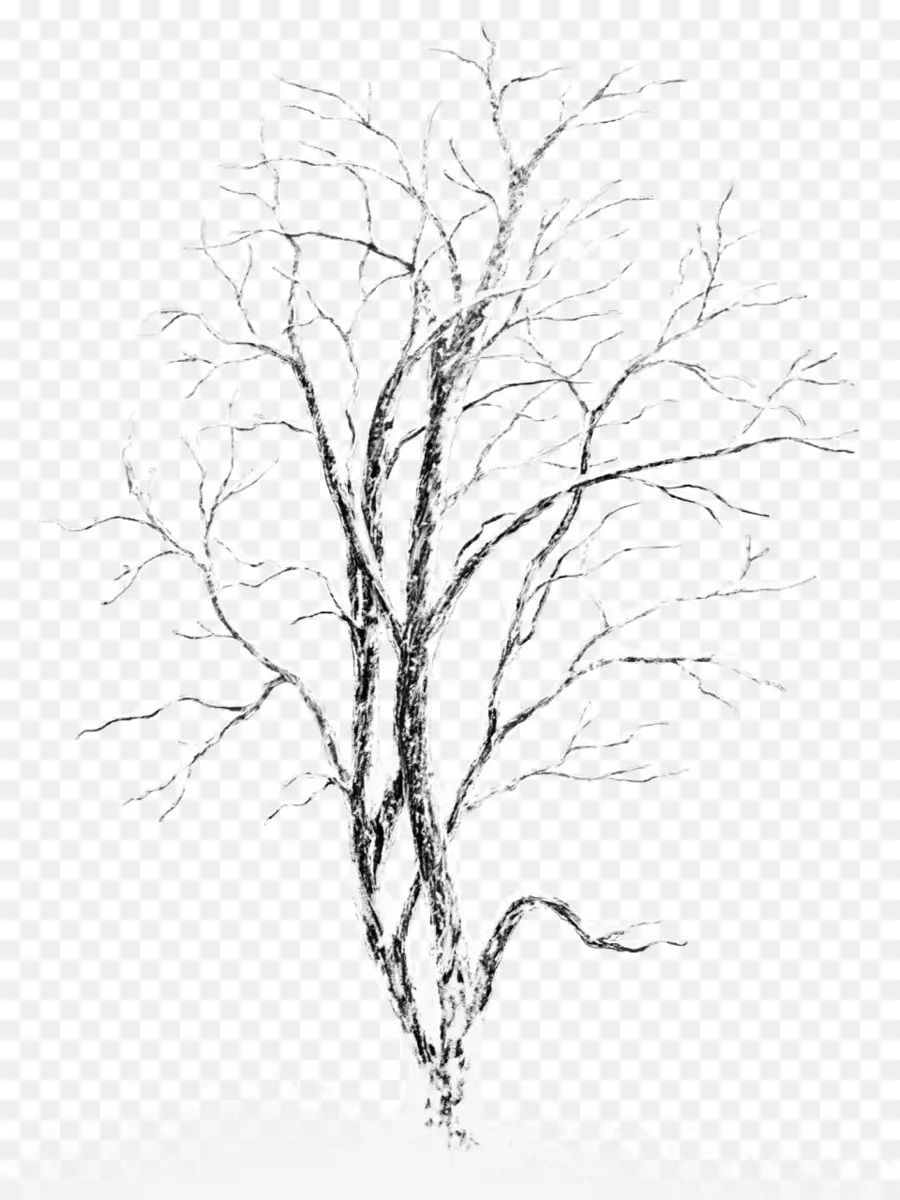 شجرة，Photomontage PNG