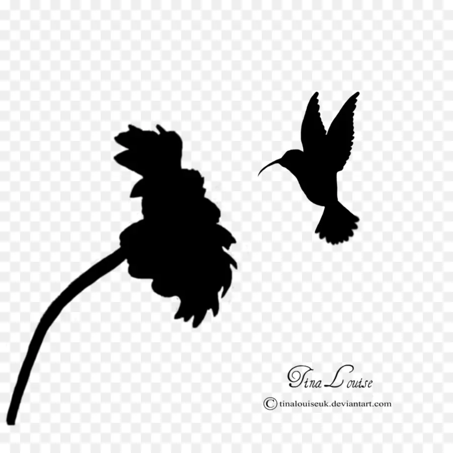 الطائر الطنان，صورة ظلية ، PNG